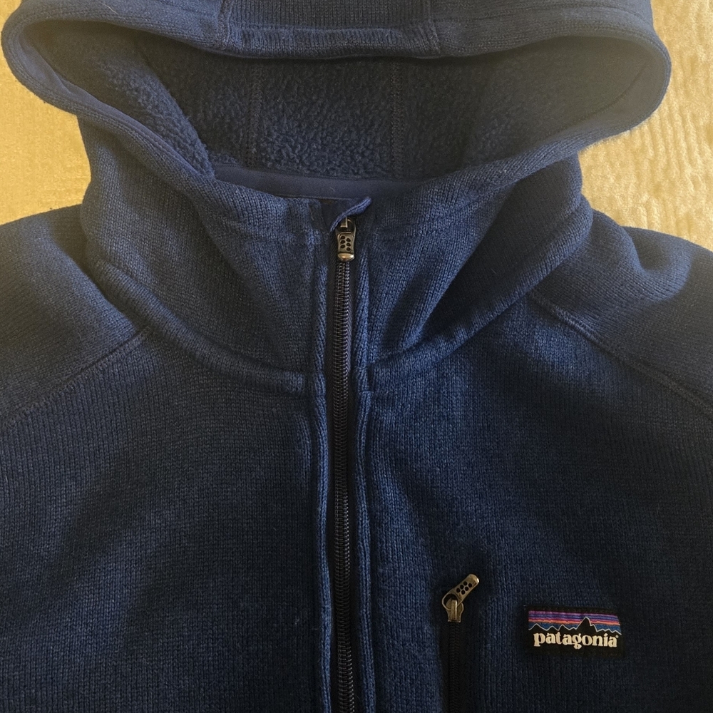 Patagonia Better Sweater Hoody, Size Large - Picture 5 of 10